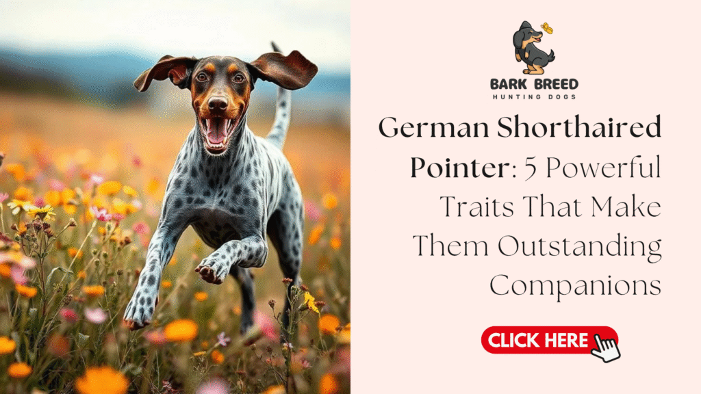 German Shorthaired Pointer: 5 Powerful Traits That Make Them Outstanding Companions