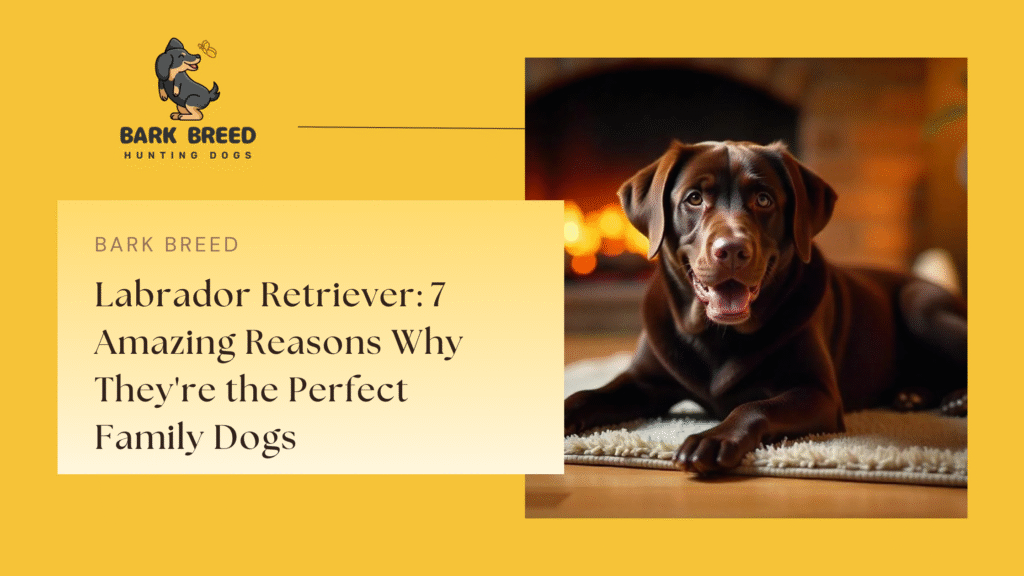 Labrador Retriever: 7 Amazing Reasons Why They're the Perfect Family Dogs
