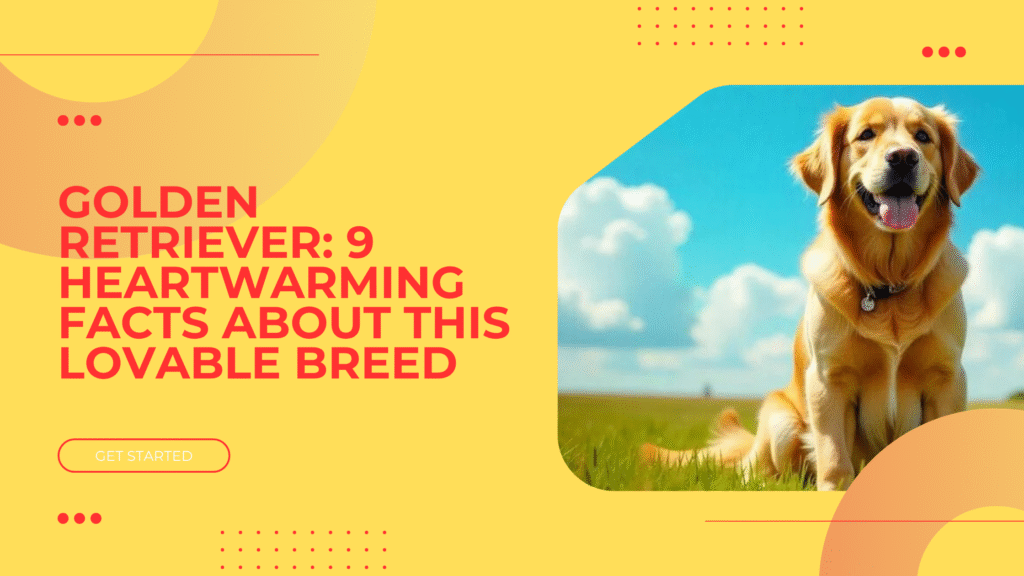 Golden Retriever: 9 Heartwarming Facts About This Lovable Breed
