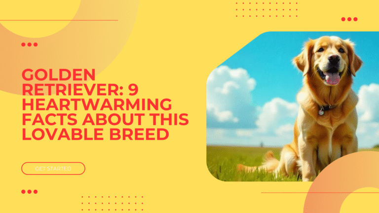 Golden Retriever: 9 Heartwarming Facts About This Lovable Breed