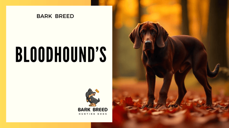 BARK BREED 1 1