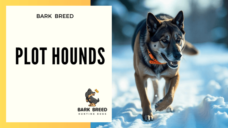 BARK BREED 2 1