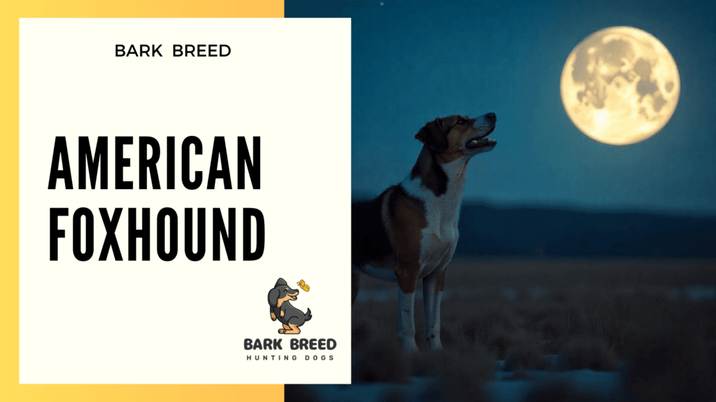 BARK BREED 2 4