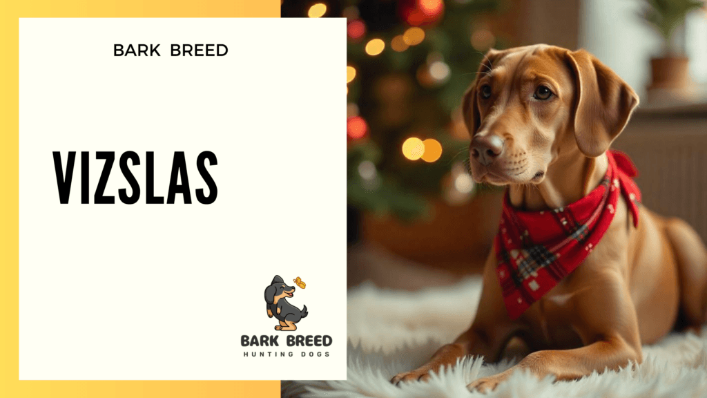 BARK BREED 3 1