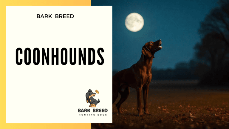 BARK BREED 3