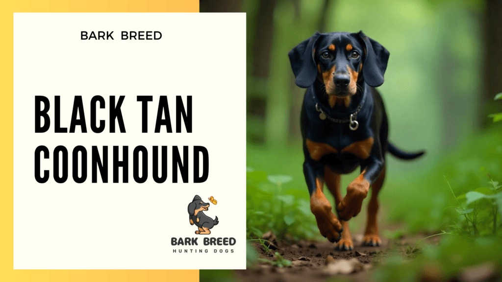 BARK BREED 4 1