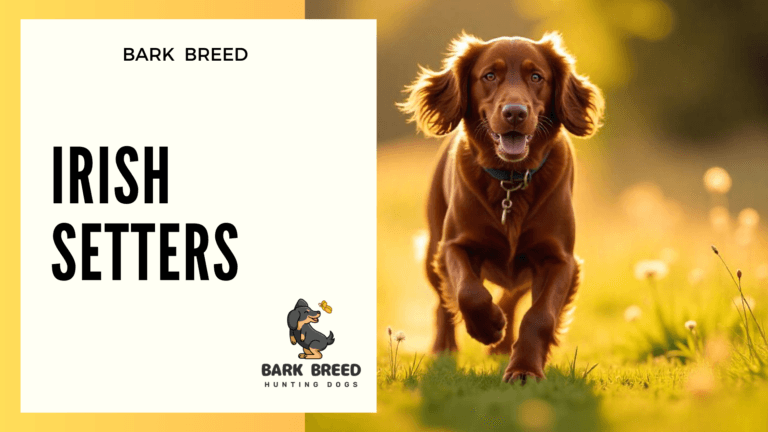 BARK BREED 6