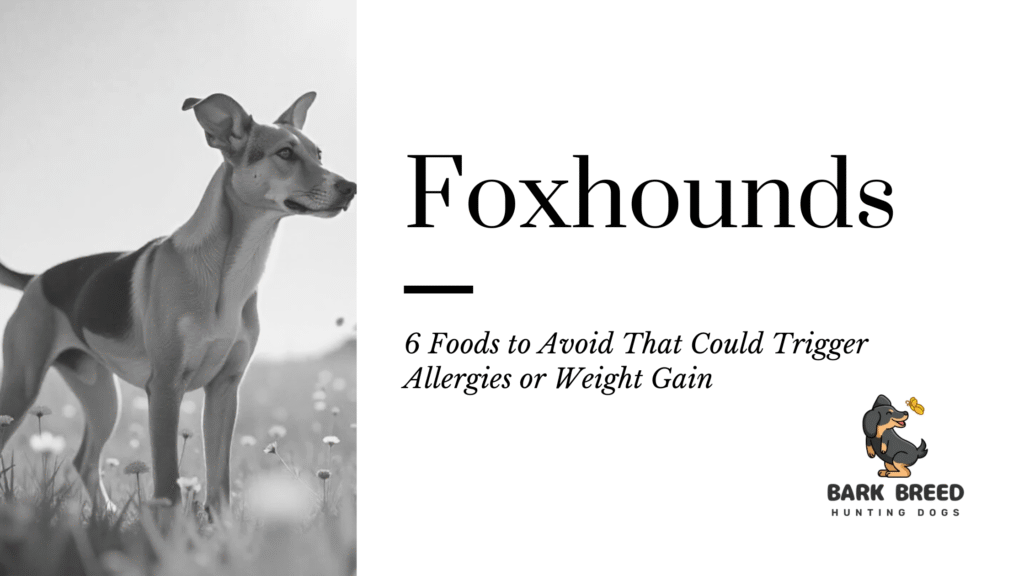 Foxhounds: 6 Foods to Avoid That Could Trigger Allergies or Weight Gain