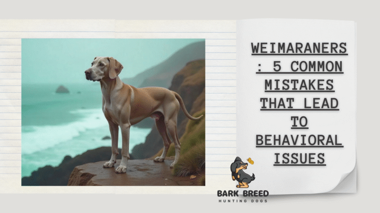 Weimaraners: 5 Common Mistakes That Lead to Behavioral Issues