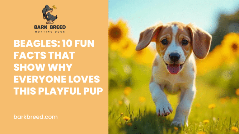 Beagles: 10 Fun Facts That Show Why Everyone Loves This Playful Pup