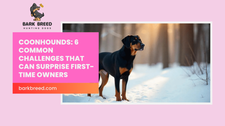 Coonhounds: 6 Common Challenges That Can Surprise First-Time Owners