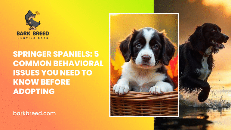 Springer Spaniels: 5 Common Behavioral Issues You Need to Know Before Adopting