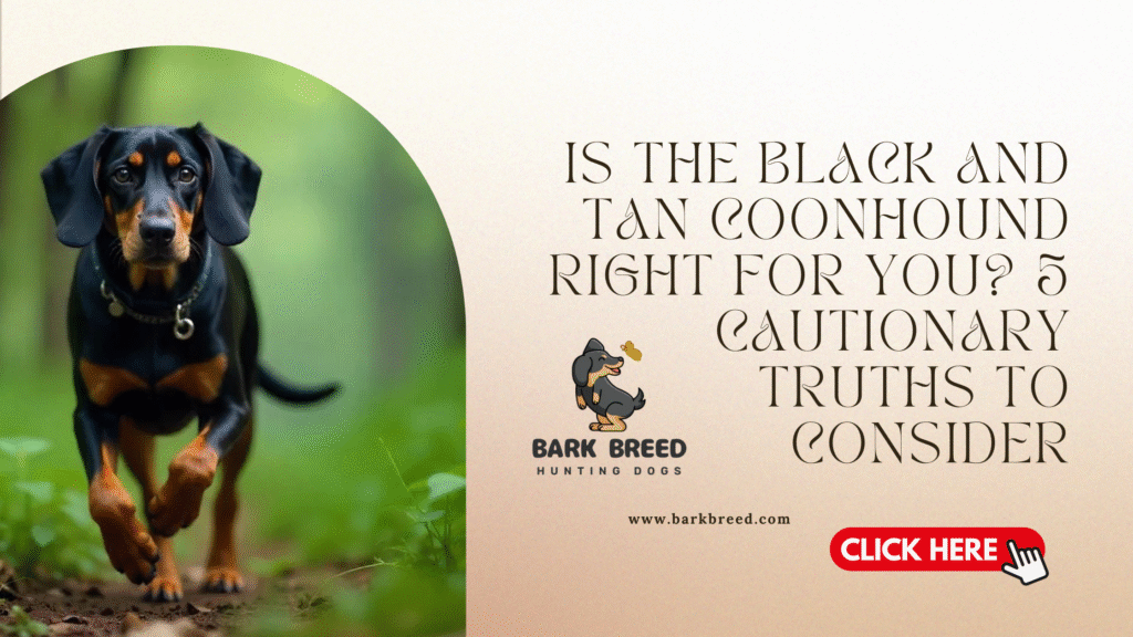 Is the Black and Tan Coonhound Right for You? 5 Cautionary Truths to Consider