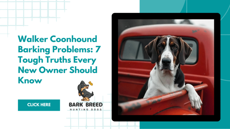 Walker Coonhound Barking Problems: 7 Tough Truths Every New Owner Should Know