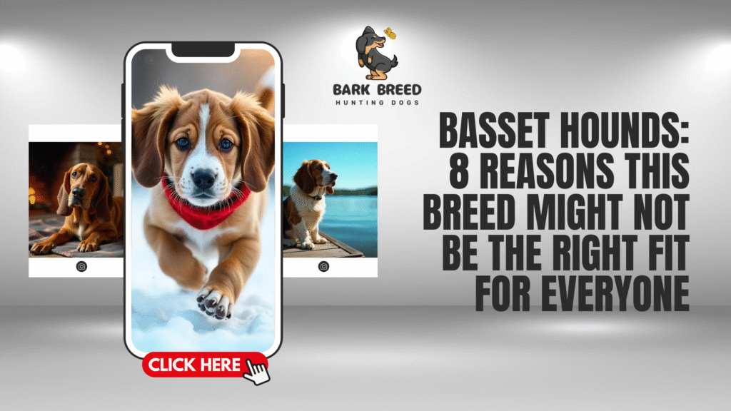 Basset Hounds: 8 Reasons This Breed Might Not Be the Right Fit for Everyone