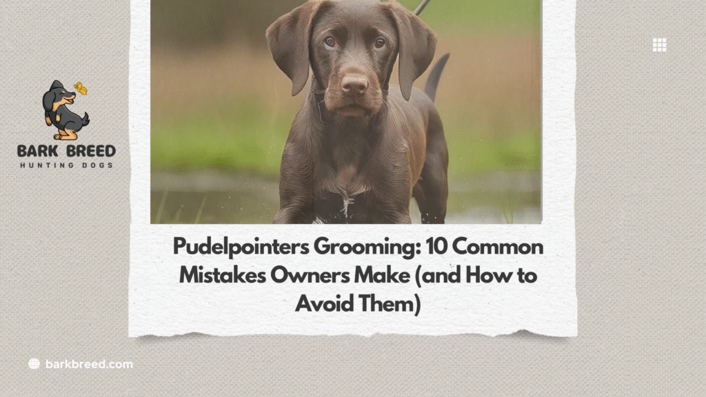 Pudelpointers Grooming: 10 Common Mistakes Owners Make (and How to Avoid Them)