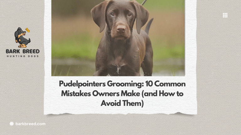 Pudelpointers Grooming: 10 Common Mistakes Owners Make (and How to Avoid Them)