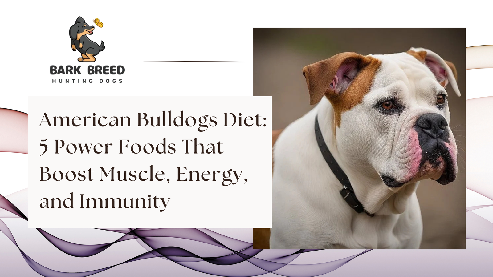 American Bulldogs Diet: 5 Power Foods That Boost Muscle, Energy, and Immunity