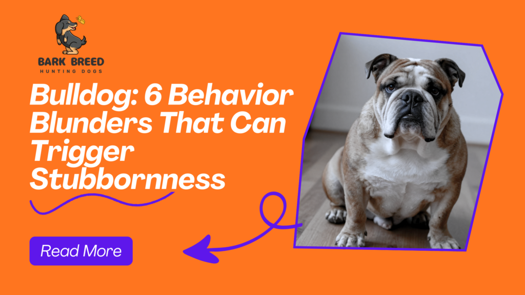Bulldog: 6 Behavior Blunders That Can Trigger Stubbornness